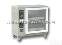 <em>ZFX-10A型自控砖瓦泛霜箱</em>|<em>砖瓦泛霜箱</em>