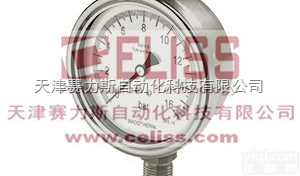 全  <em>荷兰</em>Badotherm<em>压力表</em>