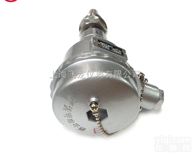 WRN-640  锥形保<em>护套管</em>专业防爆<em>热电偶</em>