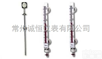 <em>插入式磁性浮子液位计</em>