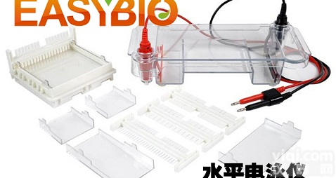 <em>通用型</em>水平<em>电泳仪</em>