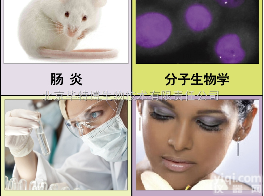 400000-600000  化妆研发级别 <em>葡聚糖硫酸钠</em>（DSS）