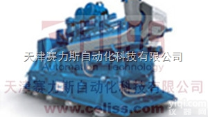 全  德国MWM<em>燃气</em><em>发电机组</em>