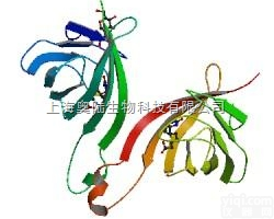 GA1003  羊抗<em>小鼠</em>IgG-<em>胶体</em>金5nm