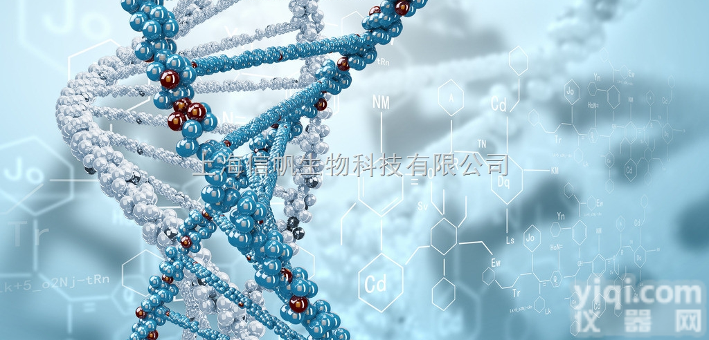 人白介素6（IL-6）ELISA试剂盒现货供应，<em>提供</em><em>一对一</em>咨询，<em>提供</em>免...