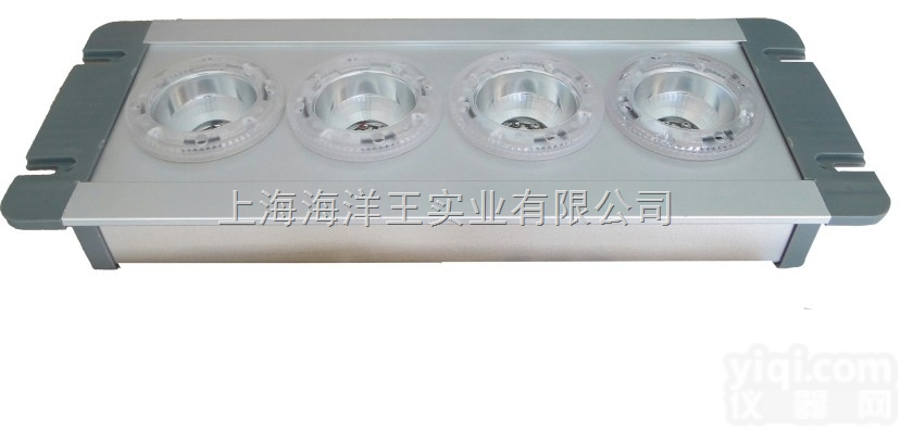 <em>上海</em><em>海洋</em>王NFE9121应急<em>顶灯</em>