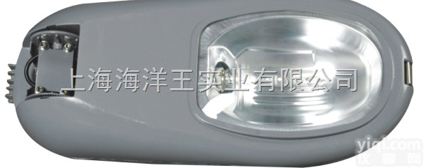 上海<em>海洋</em>王<em>NLC9600</em><em>道路灯</em>