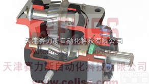 全  土耳其Hema Endustri液压<em>齿轮泵</em>