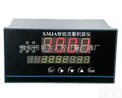 <em>XMJA-9000  智能流量积算仪</em>
