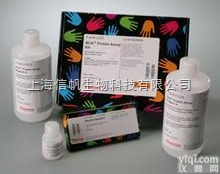 大鼠纤维<em>连接</em>蛋白（FN） ELISA<em>试剂盒</em>上海<em>现货供应</em>，提供一对一咨询