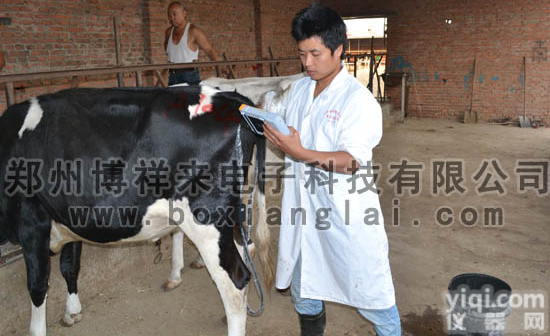 BXL-V20  <em>奶牛</em>B超测孕仪，<em>奶牛</em>用B超<em>诊断仪</em>价格