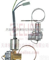 全  <em>英国</em>Teddington <em>Controls</em>安全阀