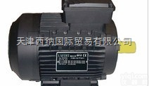 全  意大利Lafert<em>永磁</em><em>同步电动机</em>IE3