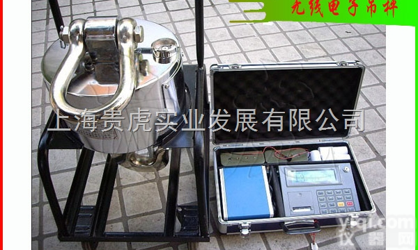 GH-OCS  <em>攀枝花</em>15吨<em>吊秤</em>+15吨无线吊称