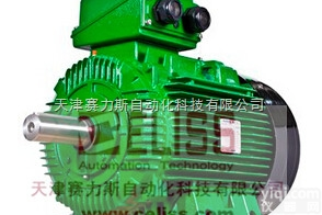 全  <em>瑞典</em>BUSCK<em>发电机</em>