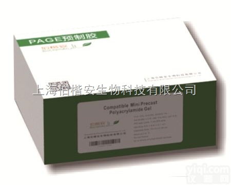 Bis-Tris <em>PAGE</em> <em>预制</em>胶  伯楷安 Bis-Tris <em>SDS</em>-<em>PAGE</em> <em>预制</em>胶