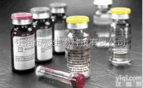 周期素<em>依赖性</em>激酶<em>抗体</em>