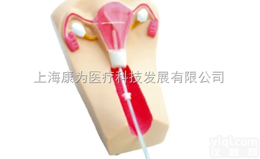 KDF/F5N  女性宫内避孕器及<em>训练</em>模型|<em>妇婴</em>专科<em>技能</em><em>训练</em>模型