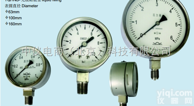 <em>Y</em>-200 <em>Y</em>-250  <em>北京</em>布莱迪（Φ200/Φ250）一般压力表