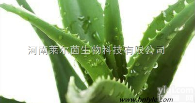 CAS:15588-68-8  厂家直销 莱尔茵 高纯度植物提取物，<em>芦荟提取物</em>价格，芦荟苷98%芦荟甙...