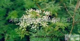 CAS号：76494-51-4  厂家直销 莱尔茵 高纯度植物<em>提取物</em>，<em>盐酸</em>川芎嗪 <em>98</em>%价格
