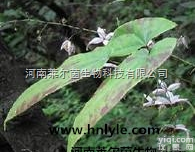 CAS登录号：489-32-7  厂家直销 莱尔茵 高纯度植物<em>提取物</em>，淫羊藿苷<em>10</em>%20%50%98%价...