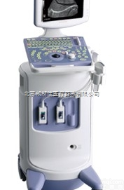 Prosound 4  阿洛卡<em>数字化</em><em>彩超</em>Prosound 4 供货