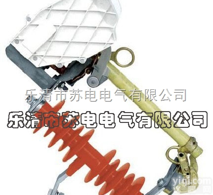 HRW10-10F/100A【硅橡胶、带<em>灭弧罩</em>】