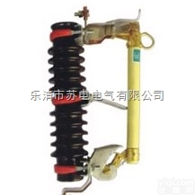 RW11-10/100A￥严把<em>质量关</em>