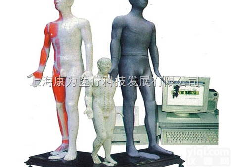 MAW-170E  多媒体人体<em>针灸</em><em>穴位</em><em>发光</em>模型|中医人体<em>针灸</em>医学模型