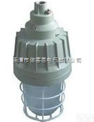 BAD82-L70/100X防爆GX<em>节能</em>灯-<em>浙江</em>依客思直销