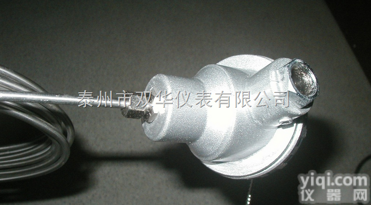 <em>铠装</em>WRNK-<em>131</em>  热电偶