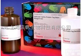 人<em>免疫</em>球蛋白G（IgG） ELISA<em>试剂盒</em>上海<em>现货供应</em>，提供一对一咨询