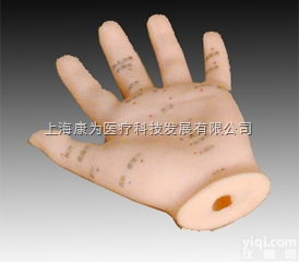 TCM3207  手针灸模型13CM|<em>中医人体针灸医学模型</em>