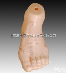 TCM3208  足针灸模型17CM|<em>中医人体针灸医学模型</em>