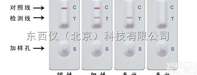 wi91718  wi91718 猪<em>口蹄疫</em><em>抗体</em>快速<em>检测卡</em>