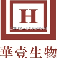 总蛋白提取细胞<em>裂解</em>缓冲液；<em>RIPA</em> Buffer