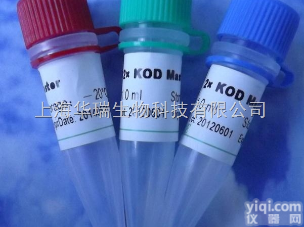 Anti-CTPS2<em>抗体</em>,CTP<em>合成酶</em>2<em>抗体</em>