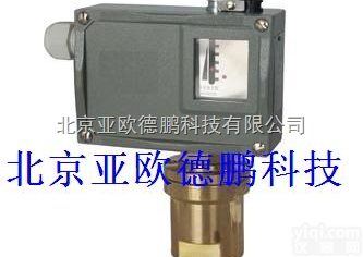 DP-<em>20</em>  <em>控制器</em>/控制仪