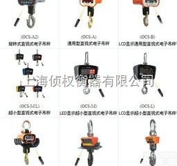 OCS  <em>上海</em><em>普陀区</em>吊秤，<em>上海</em>长宁区吊秤，<em>上海</em>卢湾区吊秤