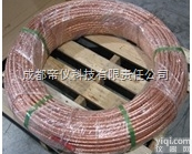 DY/CCS/LZ  <em>镀铜</em><em>绞线</em>