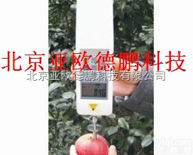 DP-4  <em>数显果实硬度计</em>/果实硬度计/果实硬度仪
