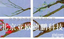 DP-GXY-A  <em>根系</em><em>分析</em><em>系统</em>/植物<em>根系</em><em>分析</em><em>系统</em>