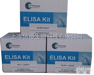 大鼠抗<em>双链</em>DNA<em>抗体</em>/天然DNA<em>抗体</em>（dsDNA）检测<em>试剂盒</em>