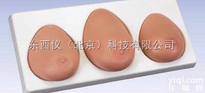 wi778  wi778高级乳房检查<em>模型</em>（一套三<em>部件</em>