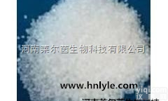 114-49-8  厂家直销 莱尔茵 高纯度植物提取物 东莨菪碱<em>氢溴酸</em>盐98%<em>价格</em>