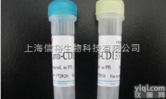 <em>C型钠利尿多肽抗体</em>