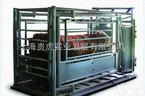 GH-SCS  2吨畜牲<em>地磅</em>称，两吨畜牧专用<em>地磅</em>，畜牧<em>围栏</em>称