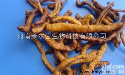 22338-71-2  厂家直销 莱尔茵 高纯度植物<em>提取物</em>  <em>远志</em>酸98%价格