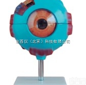 wi100028  wi100028  高<em>精度高</em>反应高分辨率<em>温度计</em>